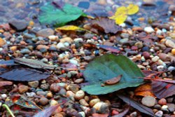 Kingsbury Water Park Wallpaper