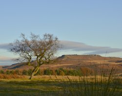 A view of Higgor Tor Wallpaper