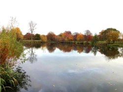 A calm autumn day on the lake at Nidd. Wallpaper