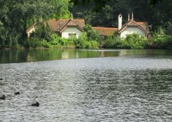 Duck Island Cottage Wallpaper