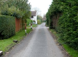 Westonzoyland Wallpaper