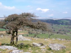 Beautiful Dartmoor