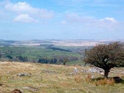 Beautiful Dartmoor Wallpaper