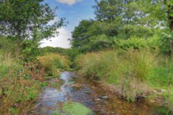 Widecombe in the moor Wallpaper