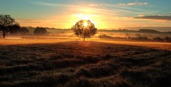 Market Bosworth Wallpaper