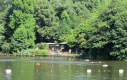 Hampstead Pond Wallpaper
