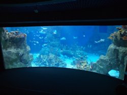 National Marine Aquarium, Plymouth