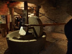Healey's Cornish Cyder Farm, Penhallow Wallpaper