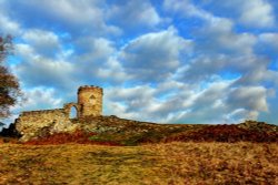 Bradgate Park Wallpaper