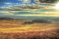Bradgate Park Wallpaper
