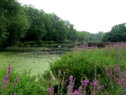 Boating Lake Wallpaper