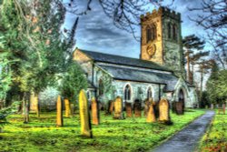 Sheepy Magna Wallpaper