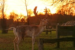 Burghley House Wallpaper