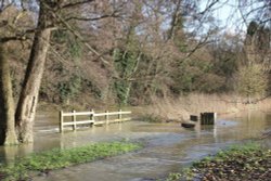 Soggy Seat Wallpaper