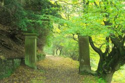 Errwood Hall Ruins Wallpaper