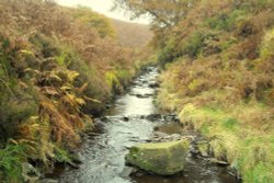 The River Goyt Wallpaper