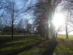 Coombe Abbey Country Park Wallpaper