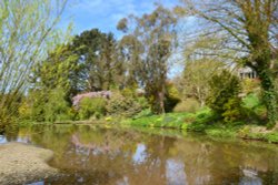 Marwood Hill gardens Wallpaper