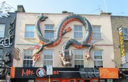 Max Orient Wallpaper