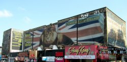 Lion Sign Wallpaper