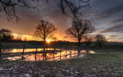 Atherstone Wallpaper