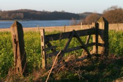 Upper Hambleton Wallpaper