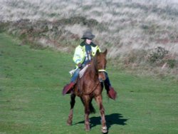 Quantock Hills Wallpaper