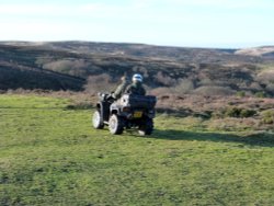 Quantock Hills Wallpaper