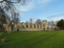 Museum Garden's York Wallpaper