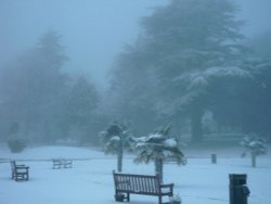 Dunmbarton Wallpaper