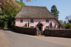 Pink thatched cottage Wallpaper