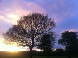 Sunset over Astley Park, Chorley Wallpaper