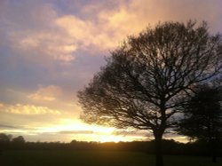 Sunset over Astley Park, Chorley Wallpaper