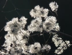 There is Life Out There Wallpaper