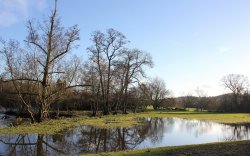 Them Puddles are Still There Wallpaper