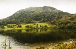 Nab Scar 2-10-13 Wallpaper