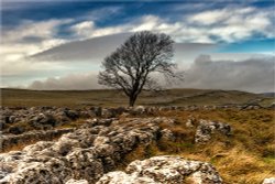 High Malham Wallpaper
