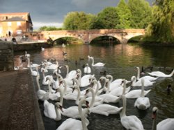 Stratford-upon-Avon Wallpaper