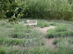 Anne Hathaway's Cottage Wallpaper