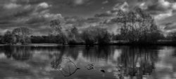 Lake, West Stow Country Park, Bury Saint Edmunds Wallpaper