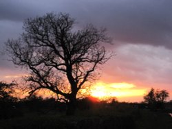 Llangollen canal early evening Wallpaper