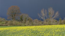 Stormy day in the Blackdown Hills, Somerset Wallpaper