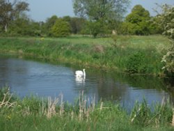 Country farm near Marden, Kent Wallpaper