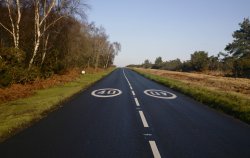 B Road through the ashdown forest Wallpaper