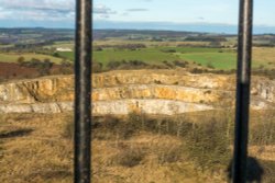 Looking out Wallpaper