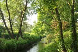 Railway Land, Lewes Wallpaper