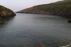 Port Quin Harbour Wallpaper