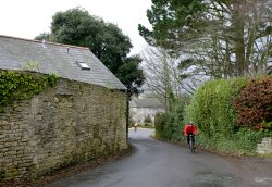 The cyclist Wallpaper