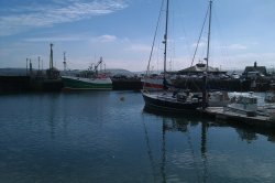 Padstow Harbour Wallpaper