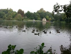Arundel, Swanbourne Lake Wallpaper